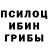 Галлюциногенные грибы мицелий Frosa Romario