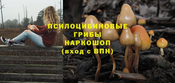 соль курить ск Белокуриха