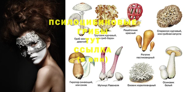 Альфа ПВП Беломорск