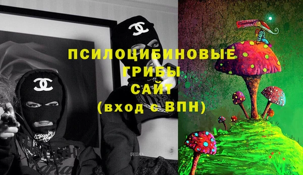 соль курить ск Белокуриха