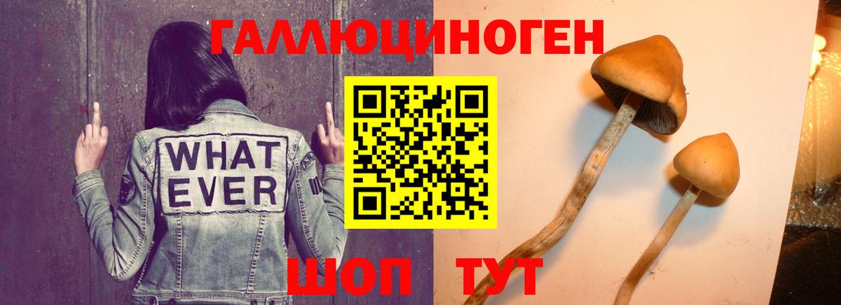 Галлюциногенные грибы GOLDEN TEACHER Воскресенск