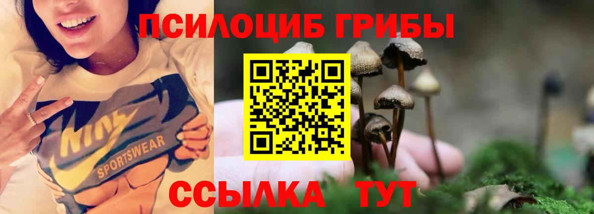 Галлюциногенные грибы Psilocybine cubensis  закладка  Вход с VPN  Воскресенск  Псилоцибиновые грибы Psilocybe 